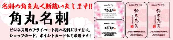 �p�ۉ��H���h