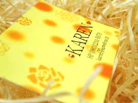 ���C���X�g�[�����h