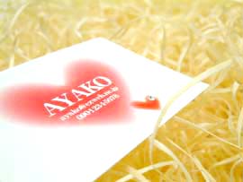 ���C���X�g�[�����h